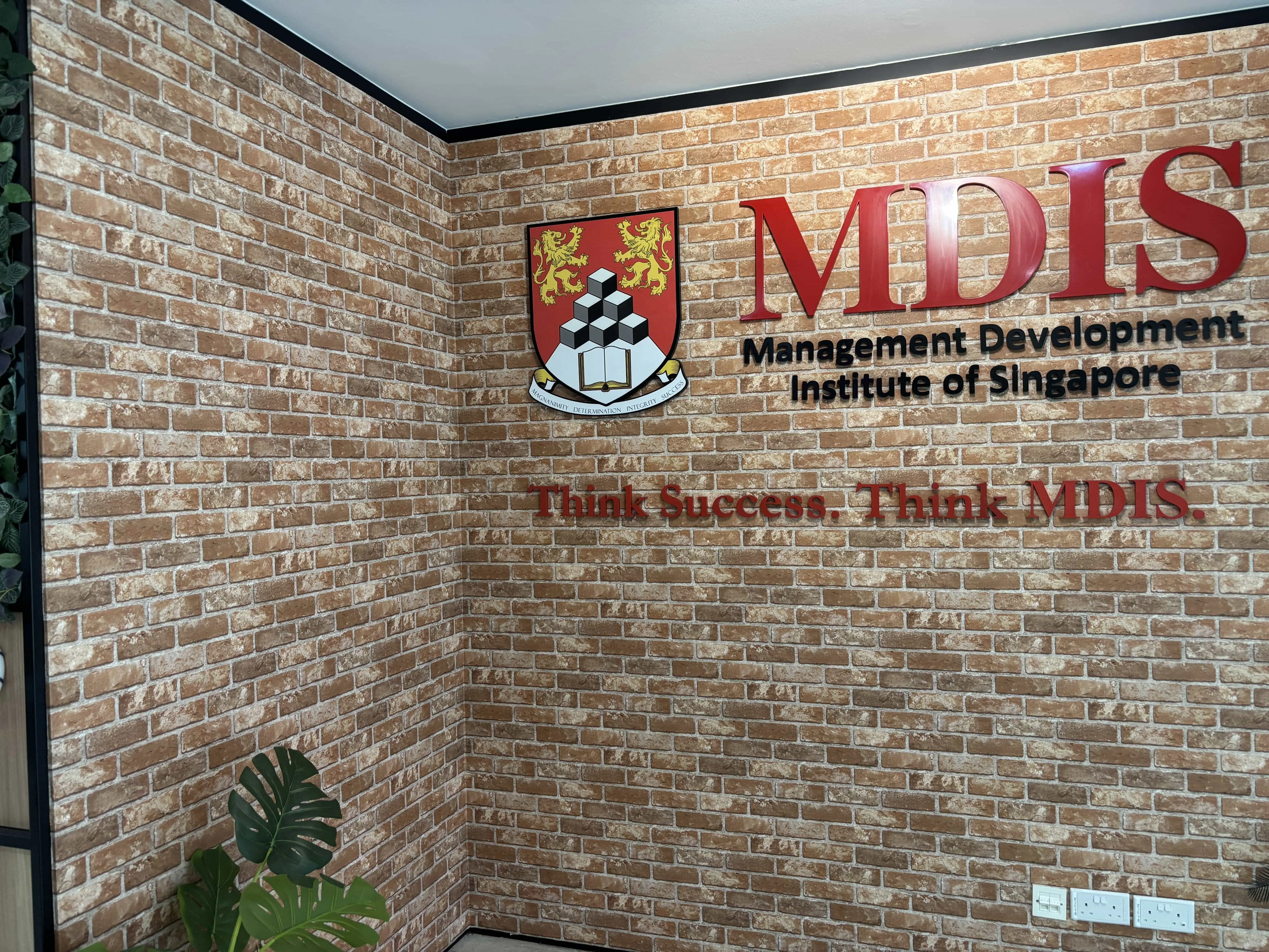 MDIS 3